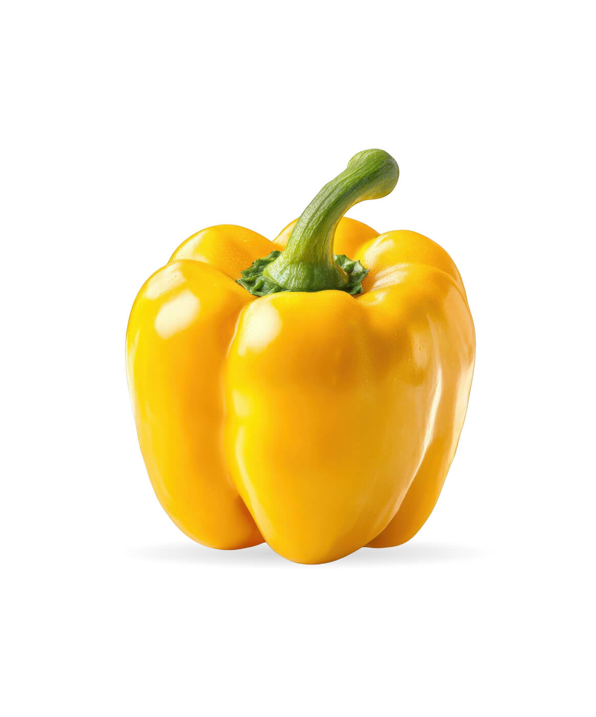 Fresh Yellow Bell Pepper