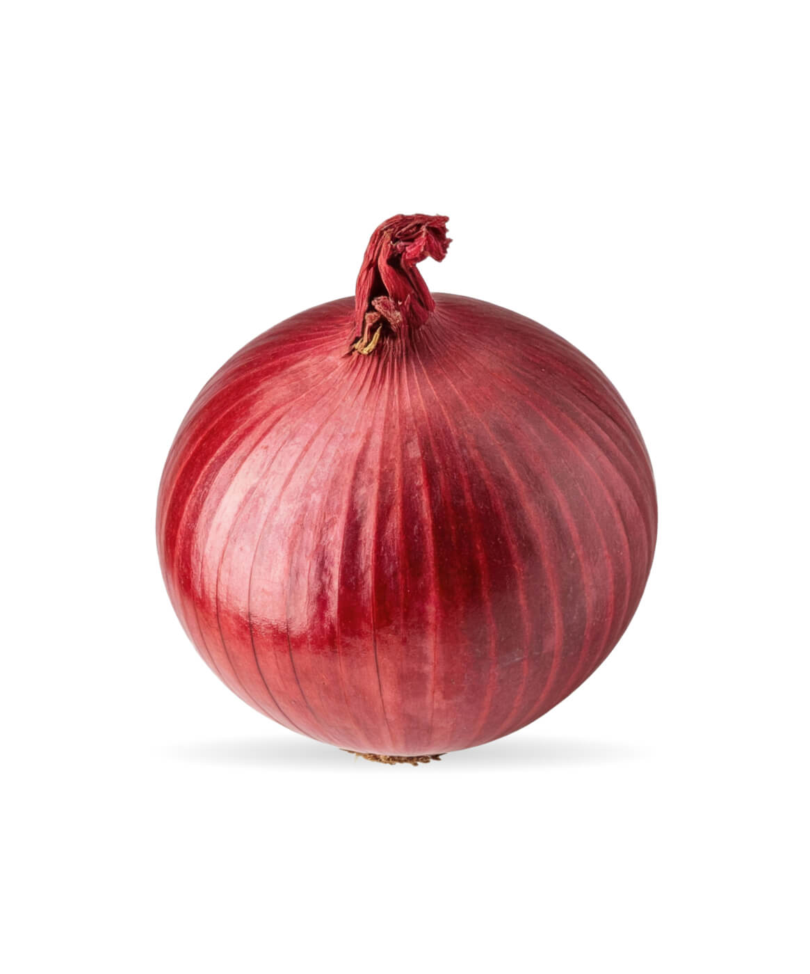 Fresh Red Onion