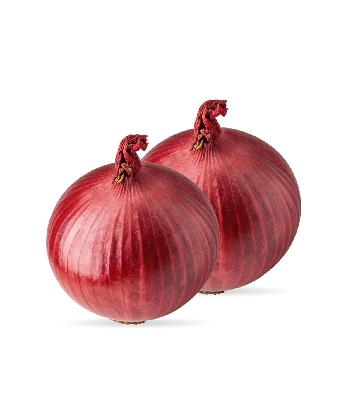 Fresh Red Onion