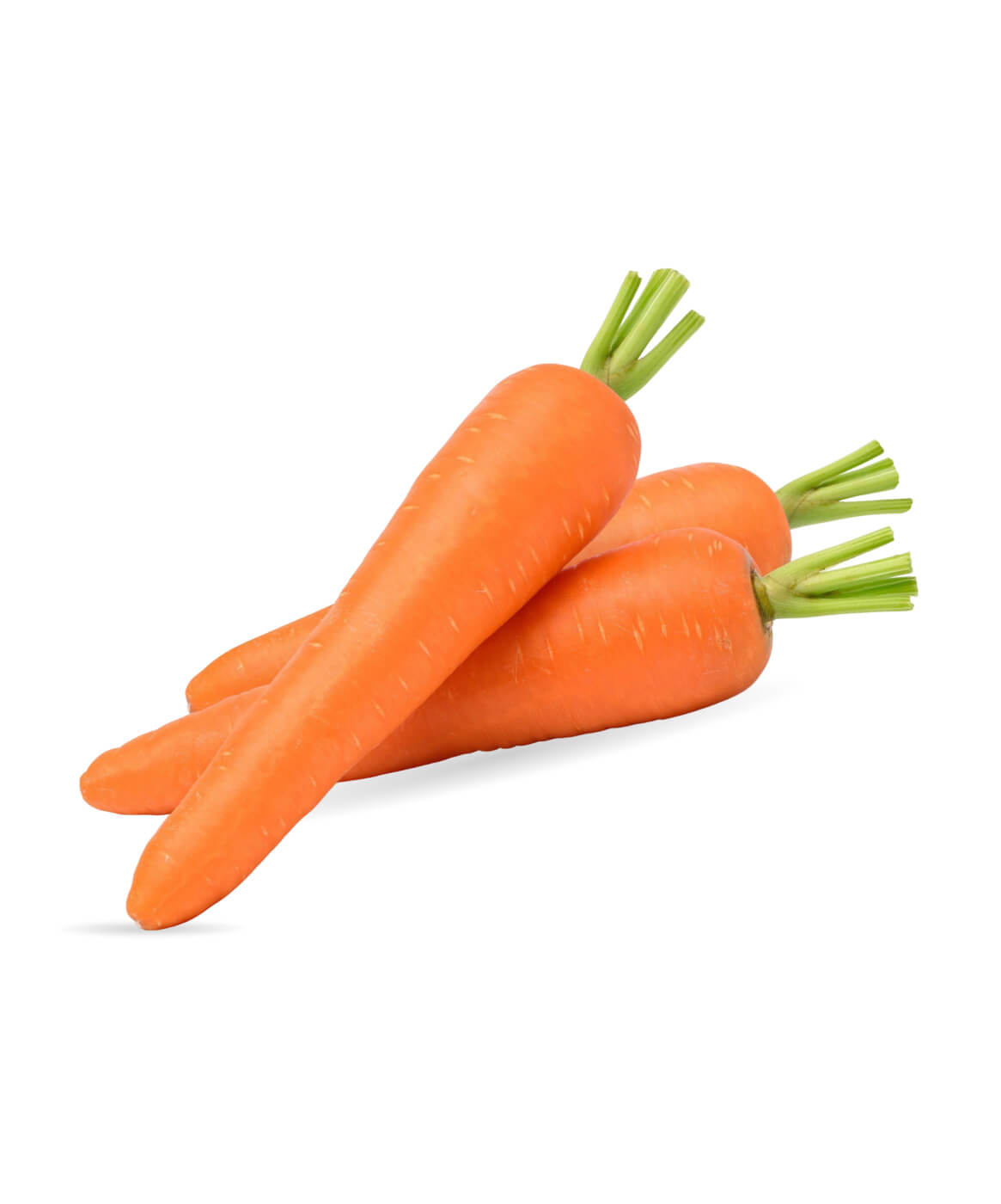 Garden Fresh Carrots