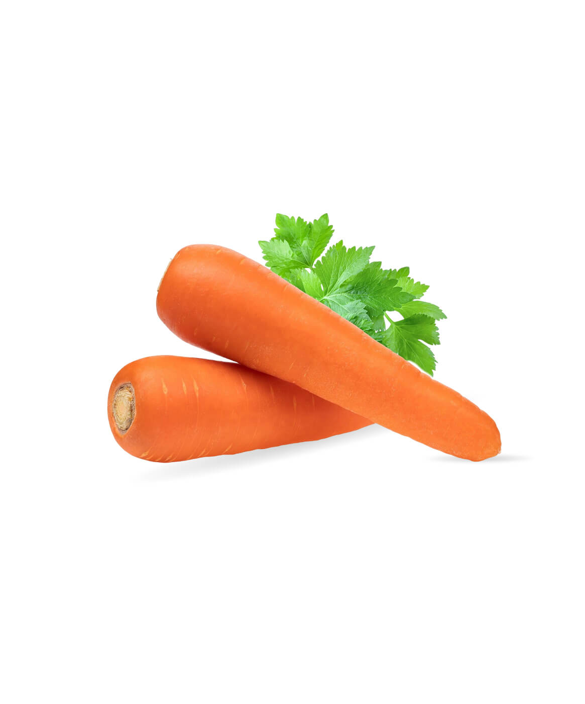 Garden Fresh Carrots