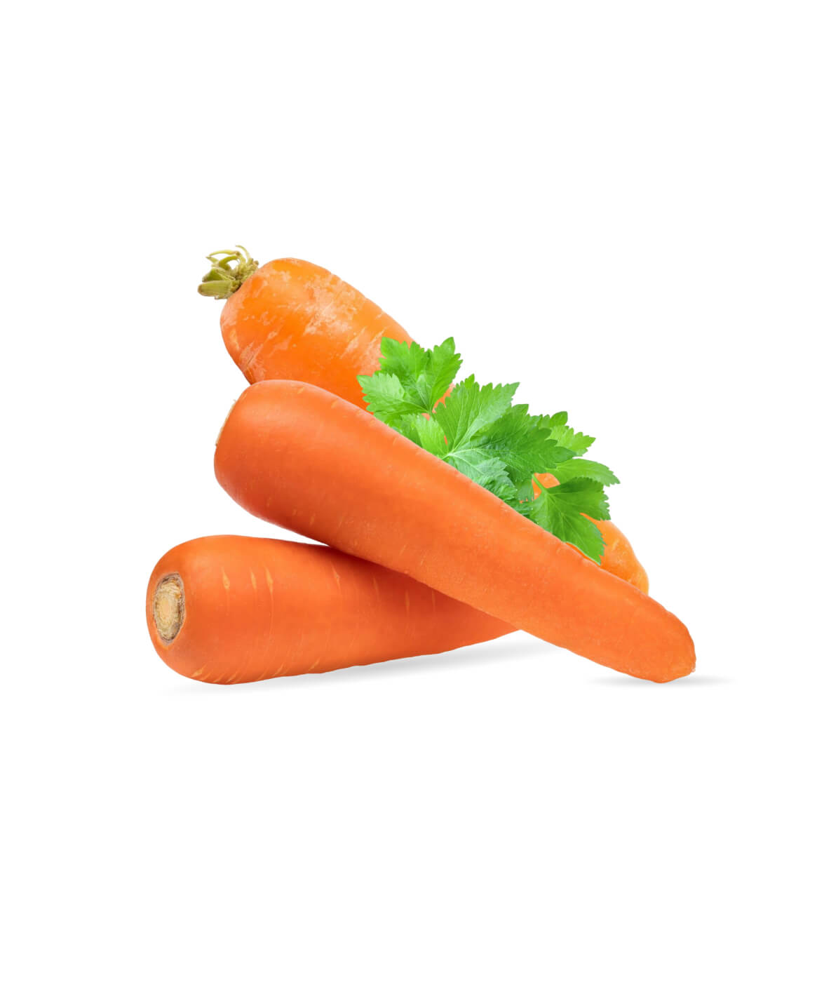 Garden Fresh Carrots