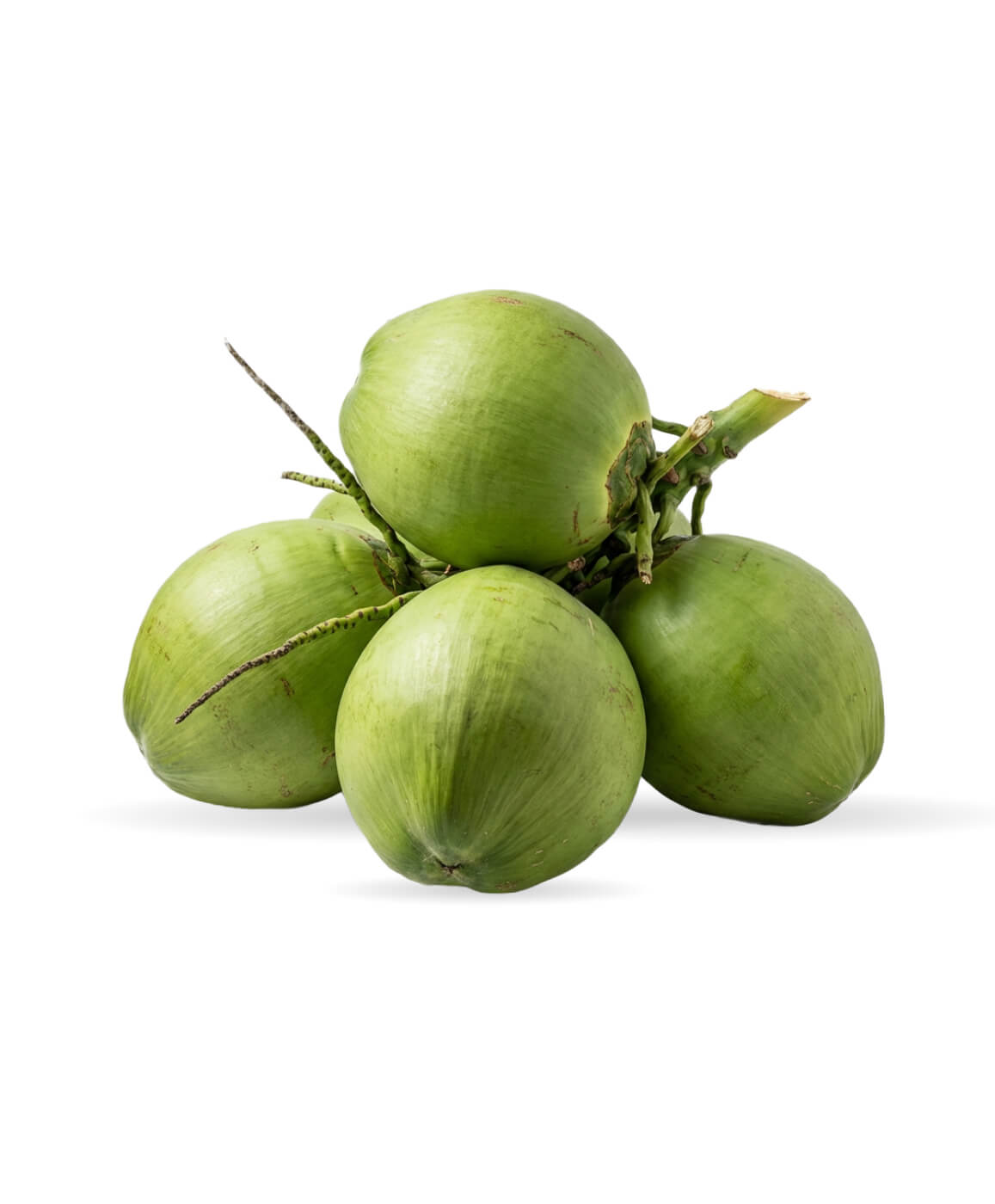 Green Coconut