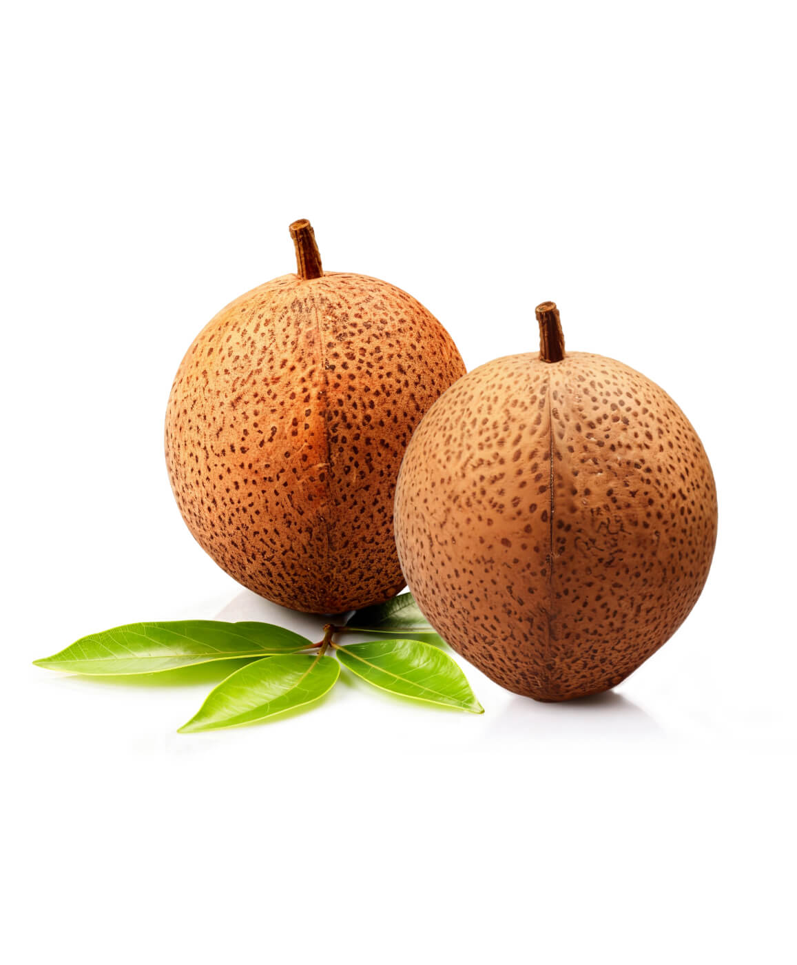 Naturally Sweet Sapodilla