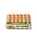 Protein-Rich Eggs