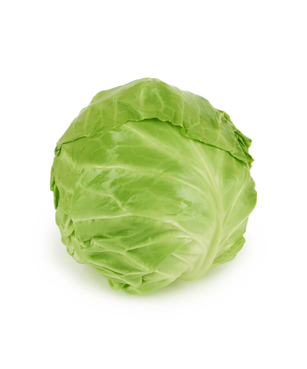 Fresh Green Cabbage