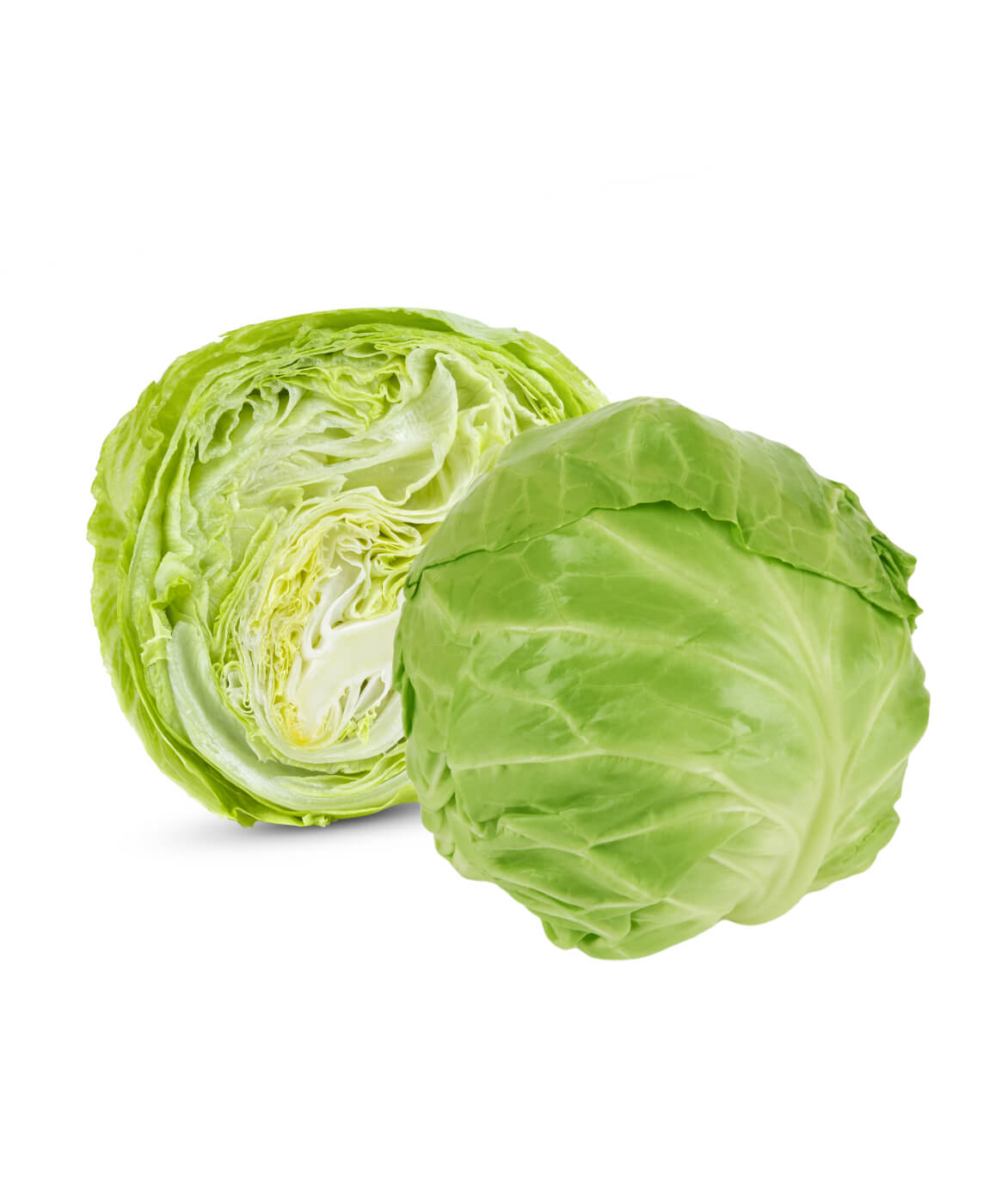 Fresh Green Cabbage