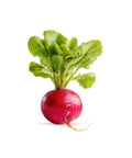 Fresh Radish